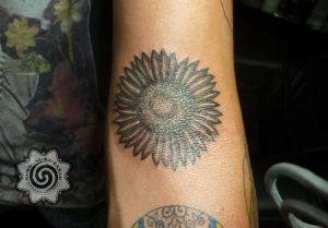 sunflower tattoo - black and grey - suku suku tatau