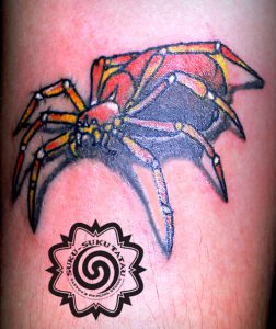 spider tattoo, suku suku tatau