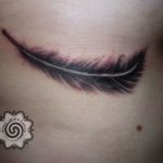 feather tattoo - modern tattoo - black and grey - suku suku tatau
