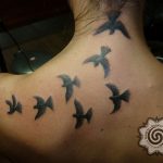 birds tattoo - suku suku tatau